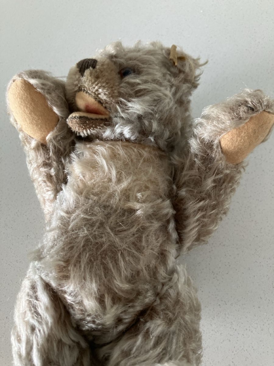 Steiff Spielzeuge: Teddybär Steiff mit offenem Mund – Gebraucht aus Zürich von Combat02 4