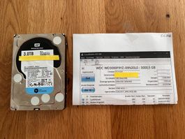 WDC 3TB Enterprise WD3000F9YZ 3.5 Zoll Festplatte