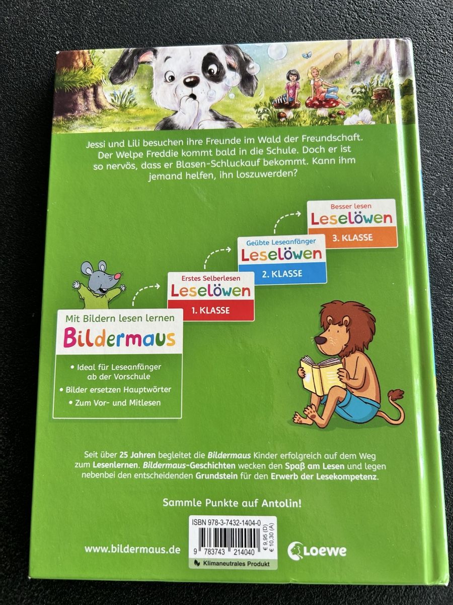 Libri: Kinderbuch - Leselöwe – Usato da Oberbuchsiten venduto da hue_66rs 1