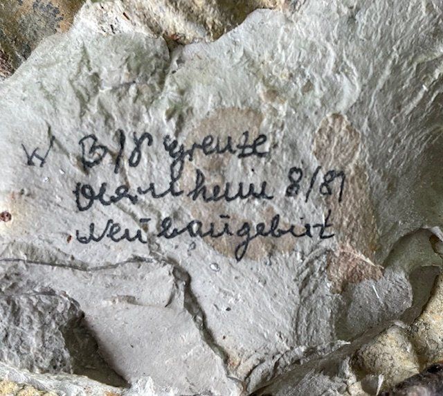 Fossili: Fossil Steinsegment mit Versteinerung – Usato da Oberrieden venduto da Ket25 1