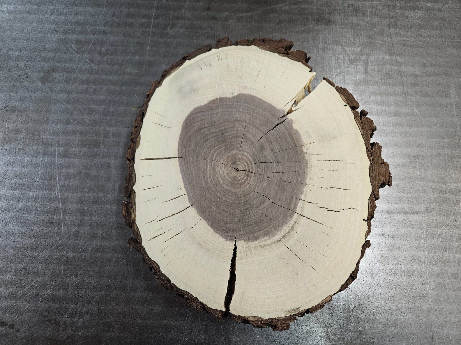 Holzartikel: Nussbaum Holz Baumscheibe – Neu (gemäss Beschreibung) aus Schangnau von egli6.2
