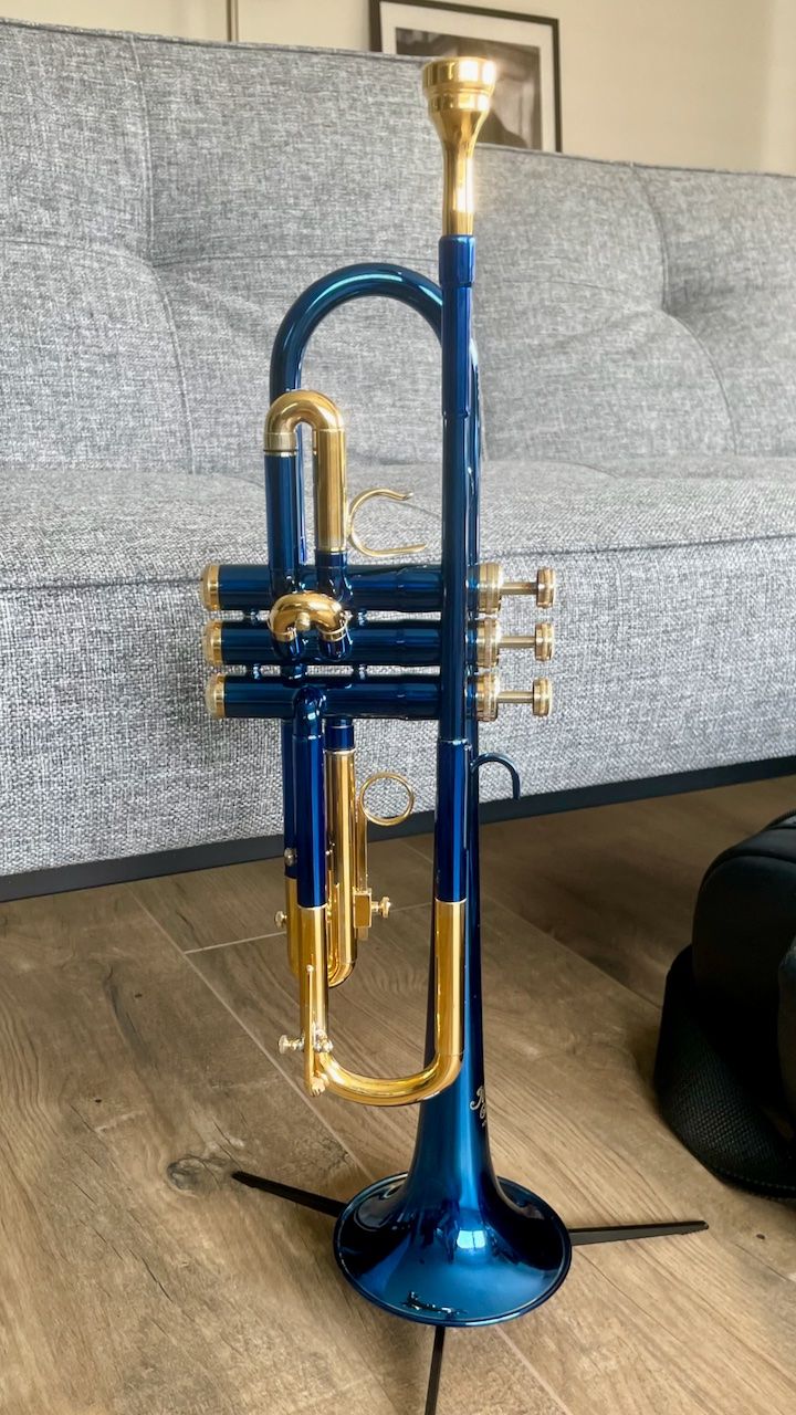 Strumenti musicali: Martin Committee B-Trompete – Usato da Zumikon venduto da gisli-sursson 2