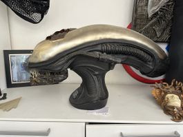Alien Head 