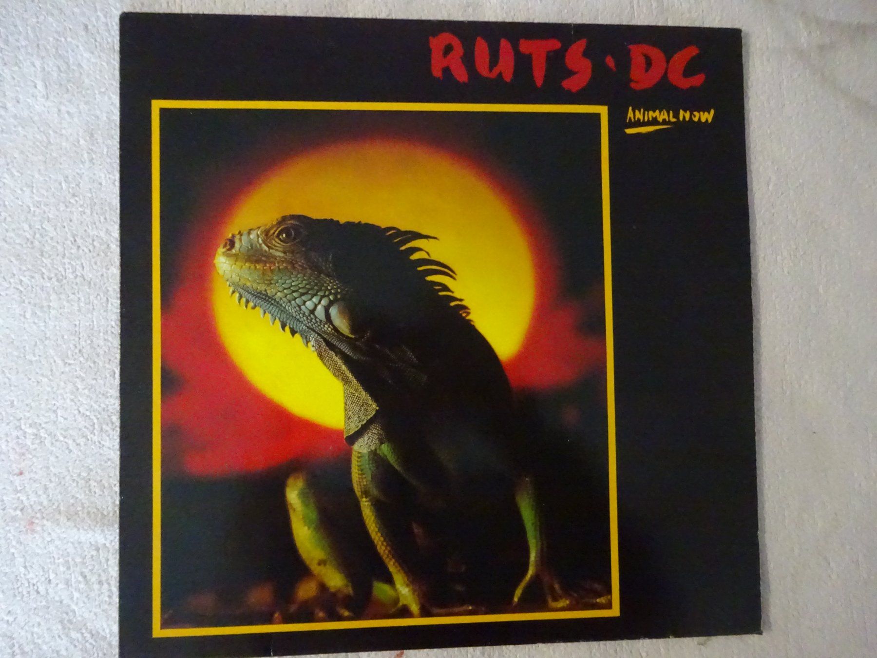 Dischi in vinile: RUTS DC ** EX THE RUTS ** DUB REGGEA – Usato da Luzern venduto da xrayspex99