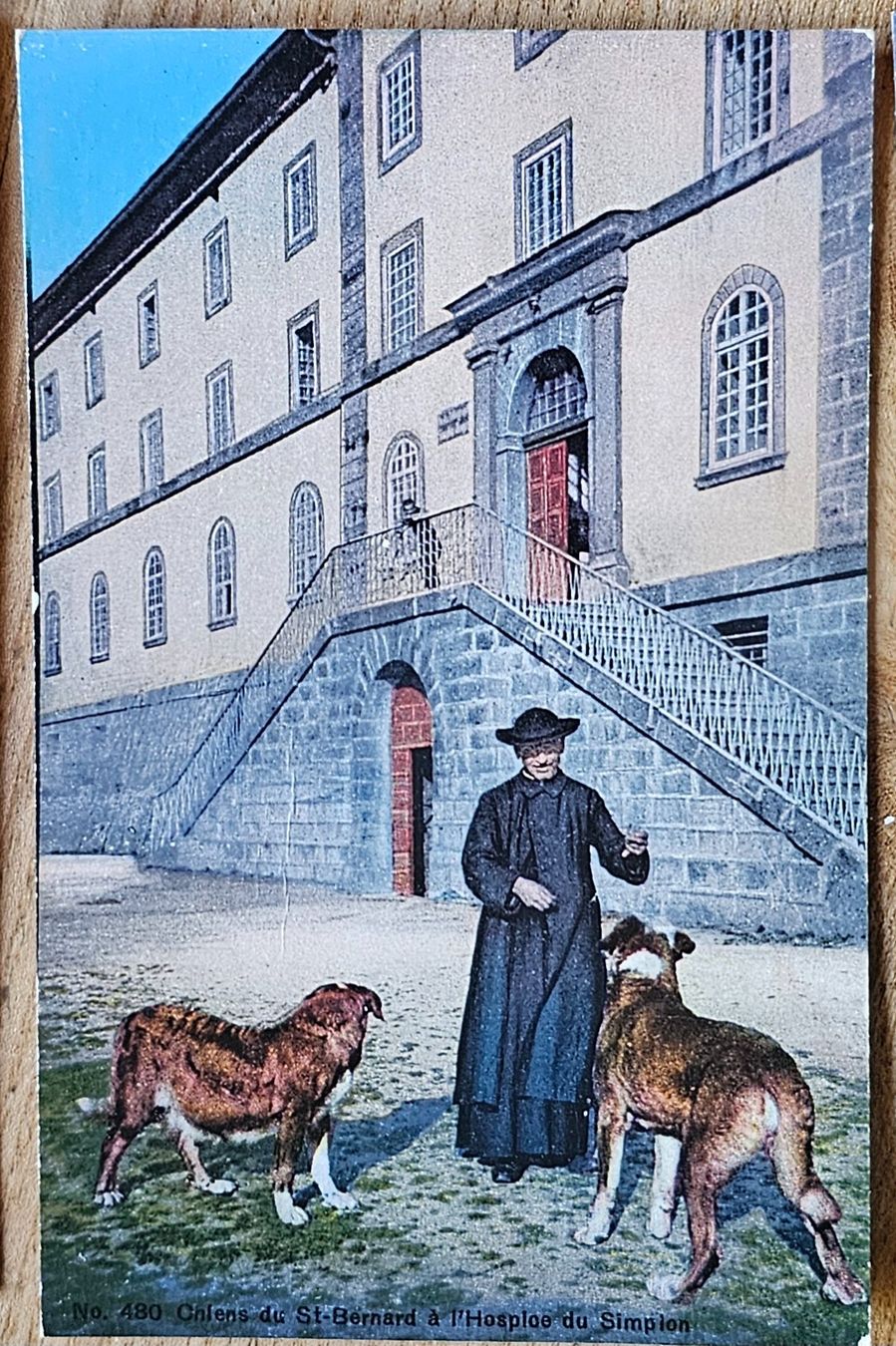 Cartoline postali: Chiens du St-Bernarrd à l'Hospice du Simplon – Usato da Les Valettes venduto da Nuba1