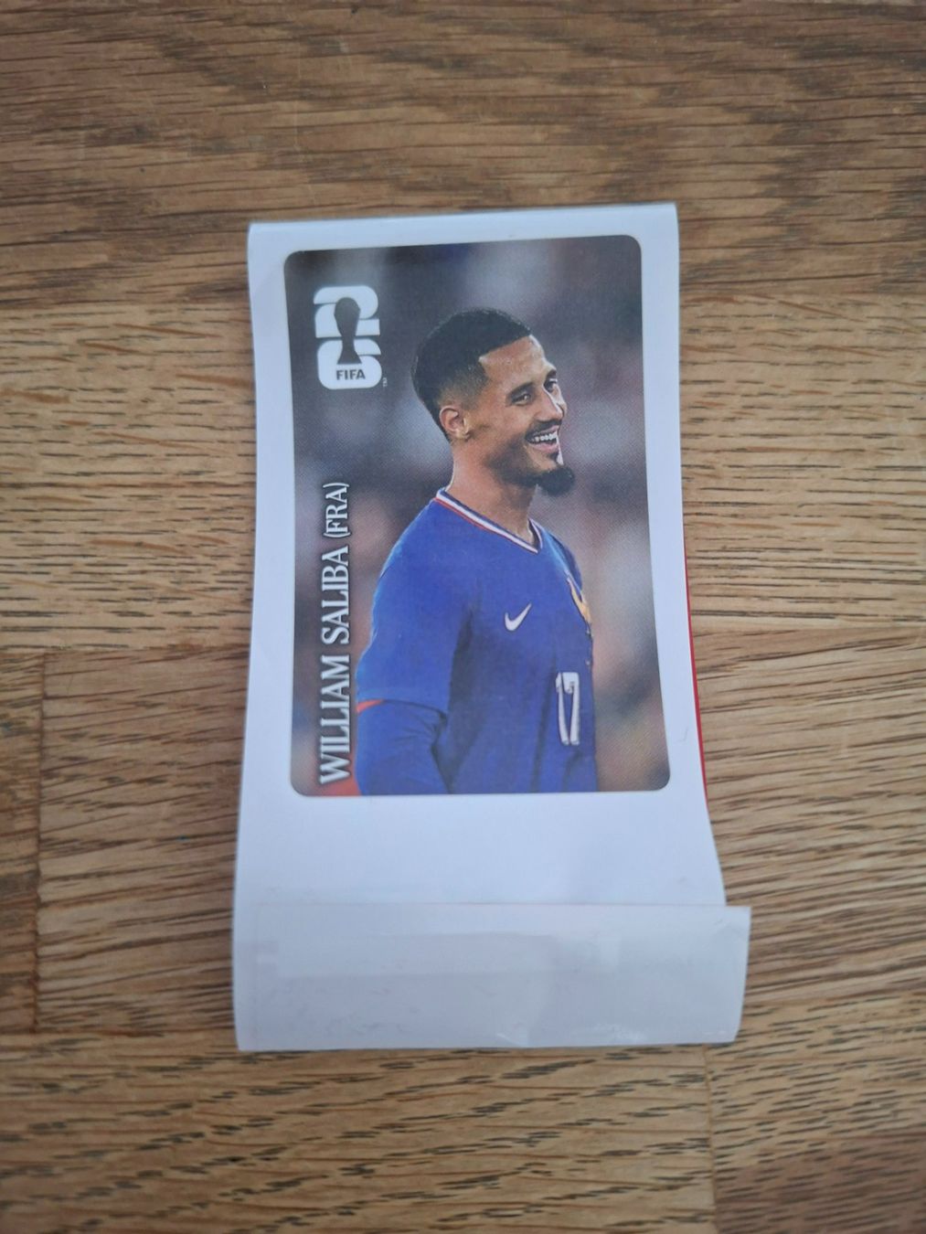 Panini Carte collezionabili: WM Panini 2026 Coca Cola Sticker – Nuovo (secondo la descrizione) da Lohn SH venduto da Zwierbel