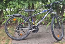 Mountainbike Wheeler gebraucht