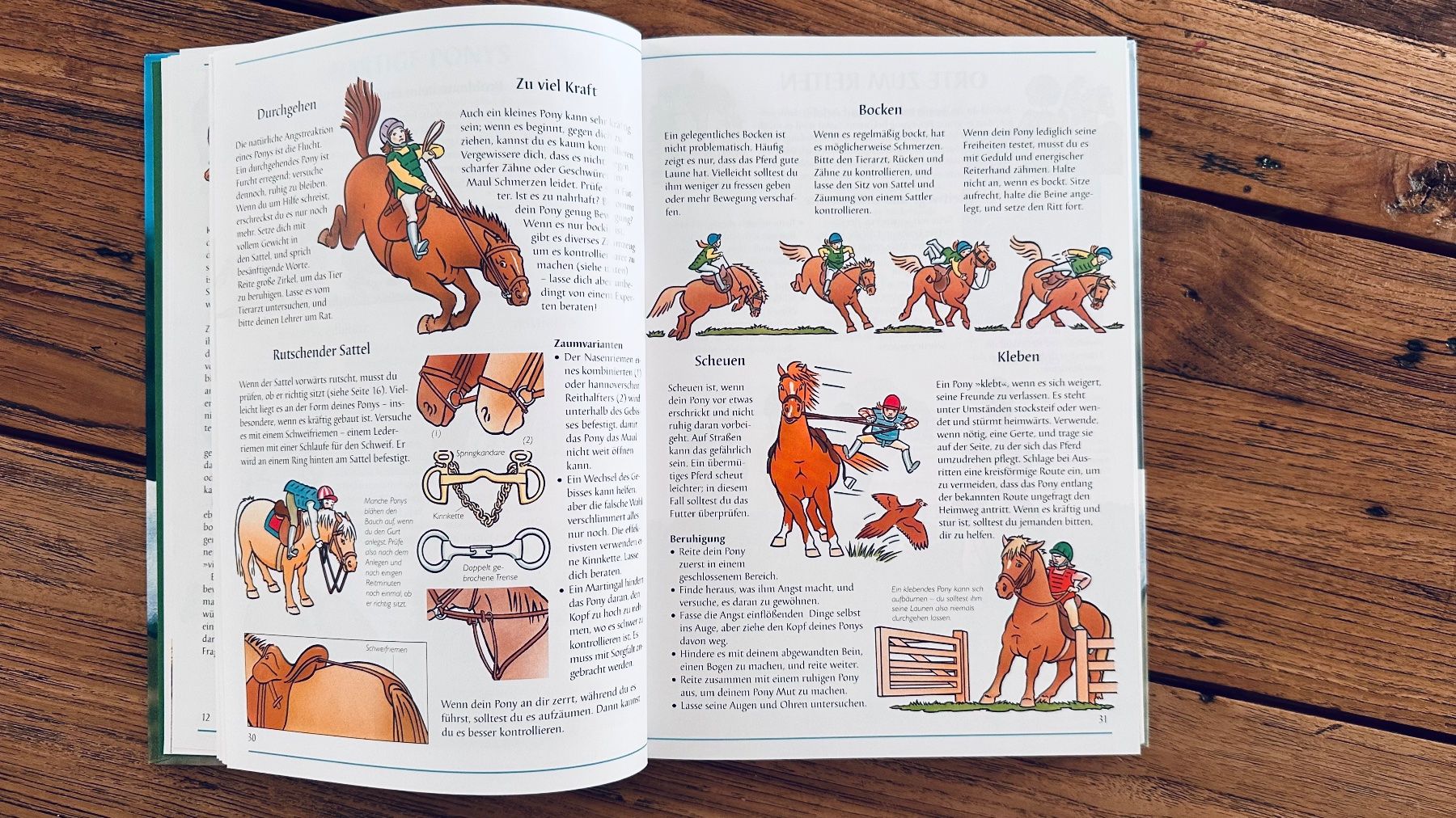 Libri: Die grosse Reitschule, Plege, Turniere & Unterricht – Usato da Dübendorf venduto da TojaRose 1