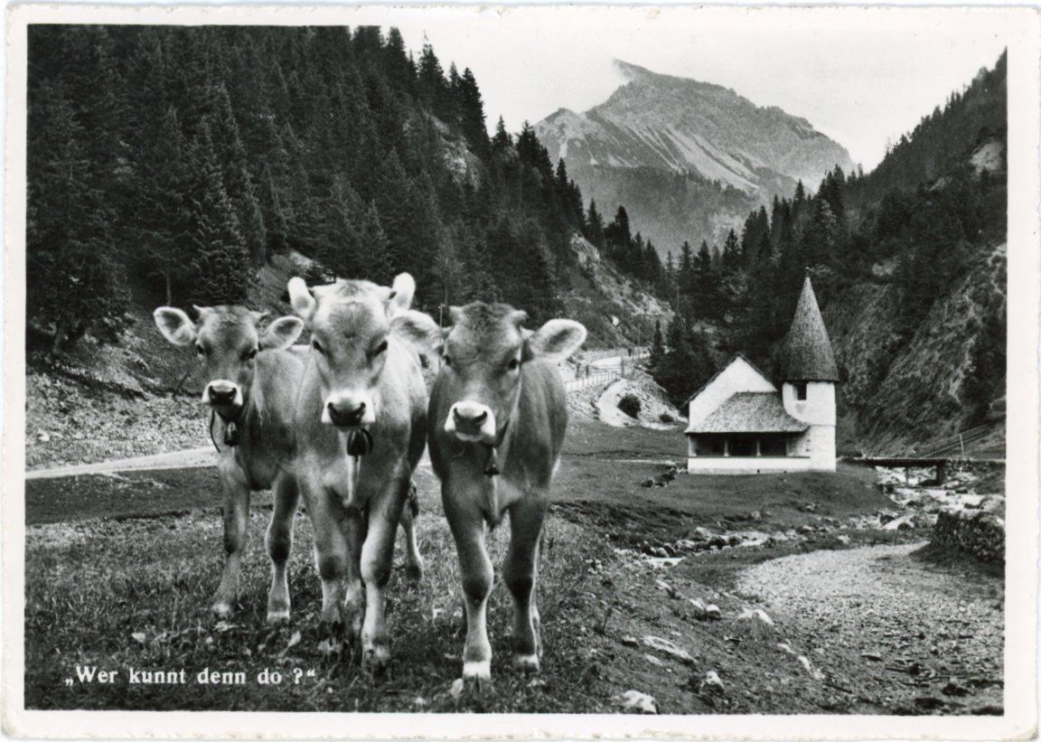 Ansichtskarten: Steg   FL         um 1964 – Gebraucht aus Brig von Valcards54