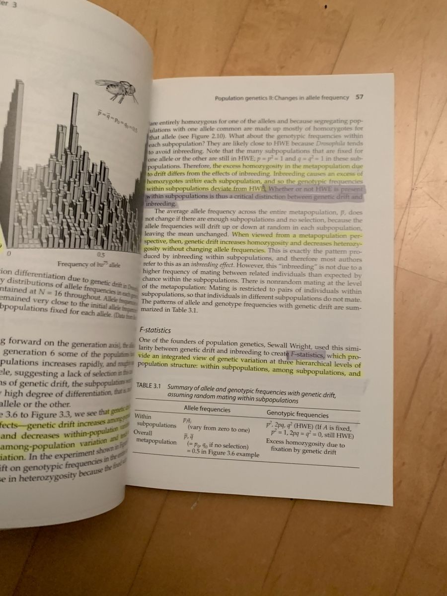 Libri: "A Primer of Ecological Genetics" – Usato da Basel venduto da Bonzito43 6
