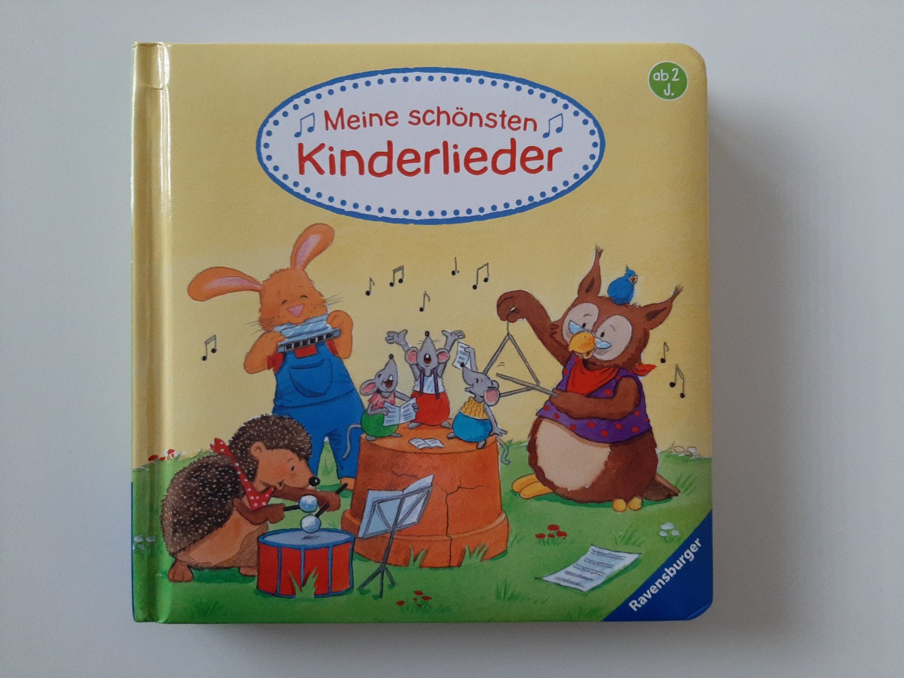 Libri: Ravensburger Meine schönsten Kinderlieder – Usato da Aarburg venduto da NDK