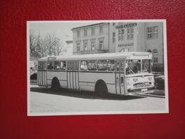 AK Autobus Stadtwerke Lübeck Daimler Benz AG Typ 0317