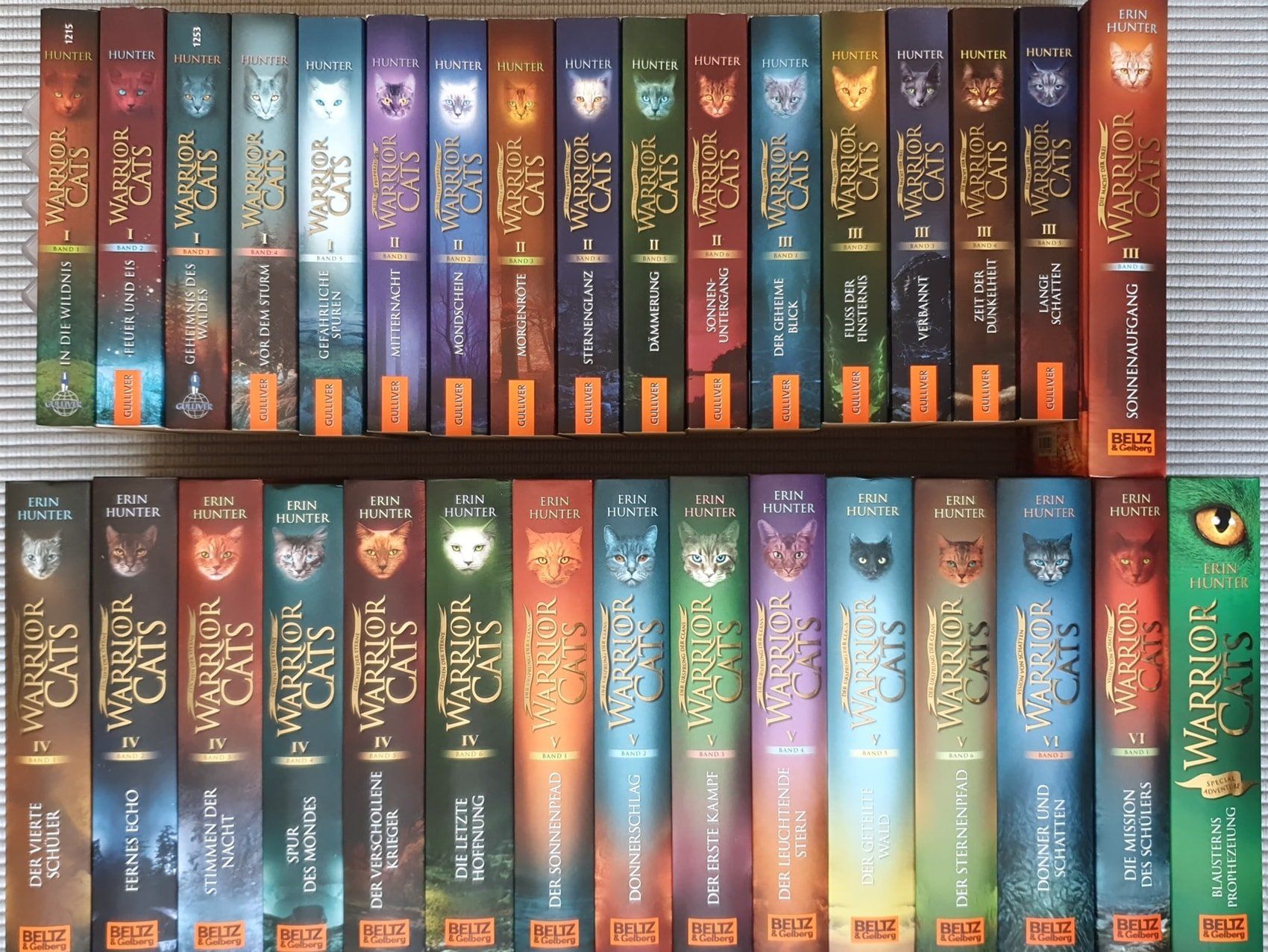 Libri: Warrior Cats - 33 Bücher – Usato da Zug venduto da Rkesiar