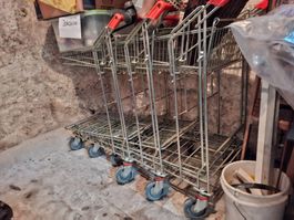 Einkaufswagen aus dem Baumarkt 2/3