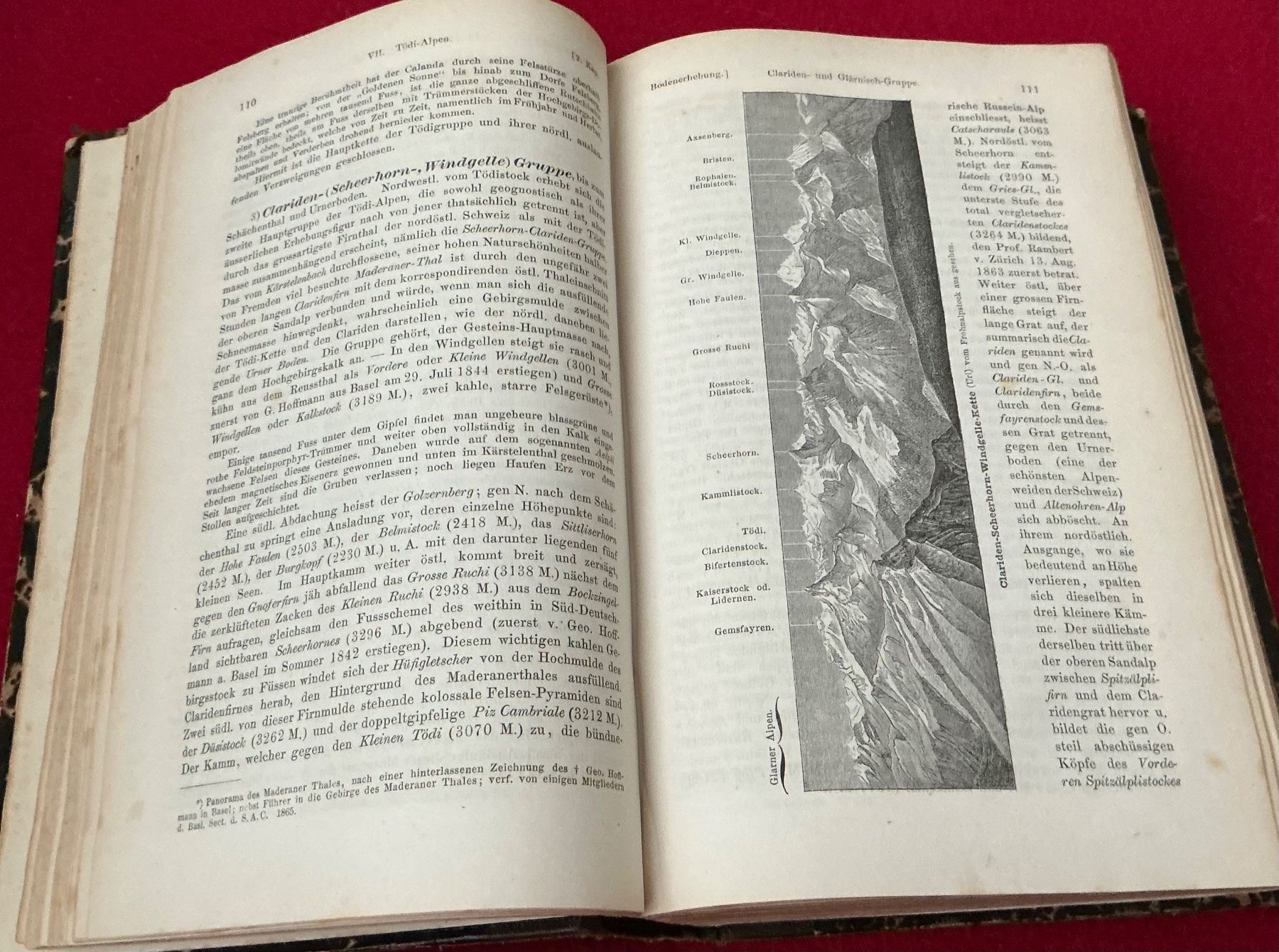 Bücher: Schweizerkunde, H.A. Berlepsch, 1875, Rarität – Gebraucht aus Crans-Montana von plainemorte 8