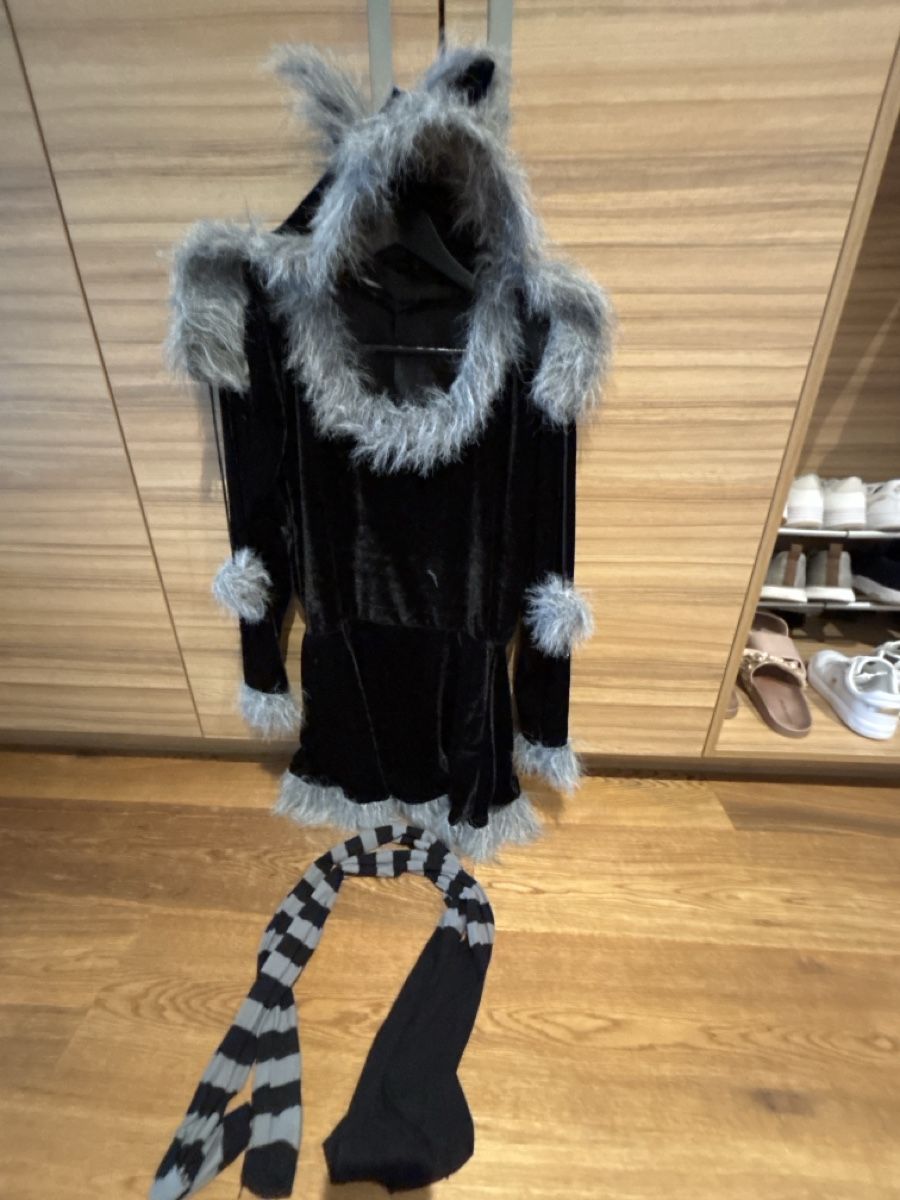 Costumi: Waschbärkostüm Gr. S – Usato da Einsiedeln venduto da 1991hce