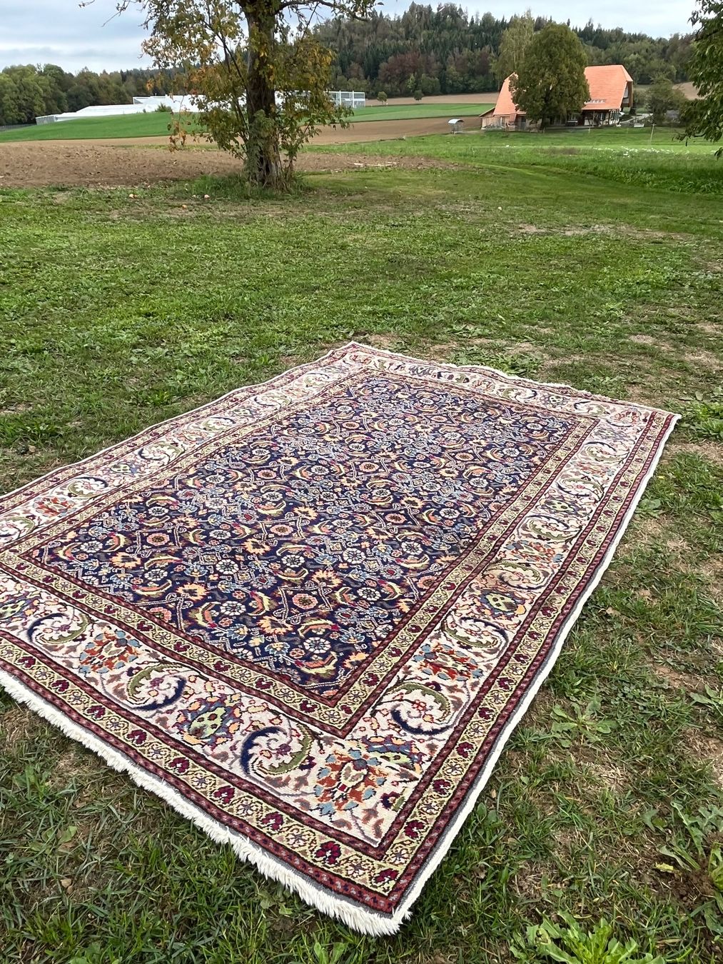 Tapis: Orient Teppich Handgeknüpft – D'occasion à Allmendingen b. BE par juair 2