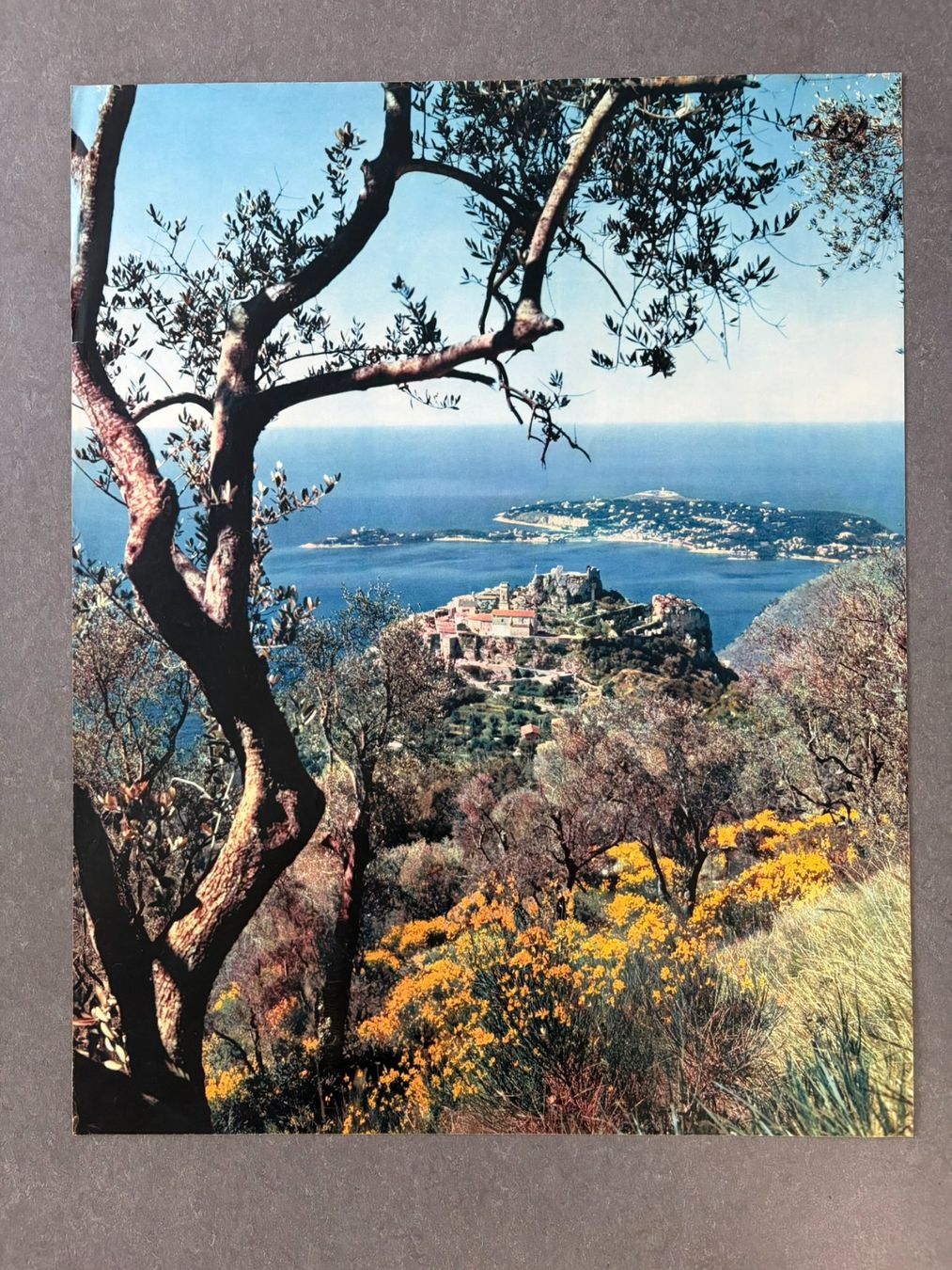 Foto & Immagini: Original Vintage Poster - Eze - Riviera - Cotes D'Azures – Usato da Zürich venduto da jesulin05 1