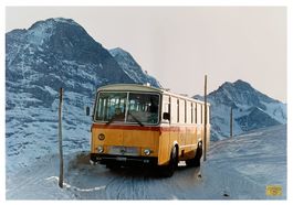 Grindelwald Bussalp Bus AVG Saurer 3DUK Foto Poster 50x70cm