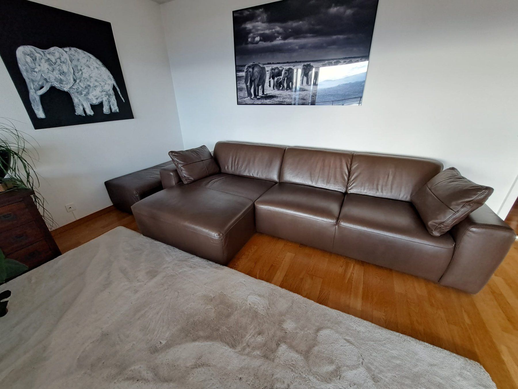Interio Divani: Elegante Leder Couch -  braun – Usato da Männedorf venduto da ste_9lfs 2