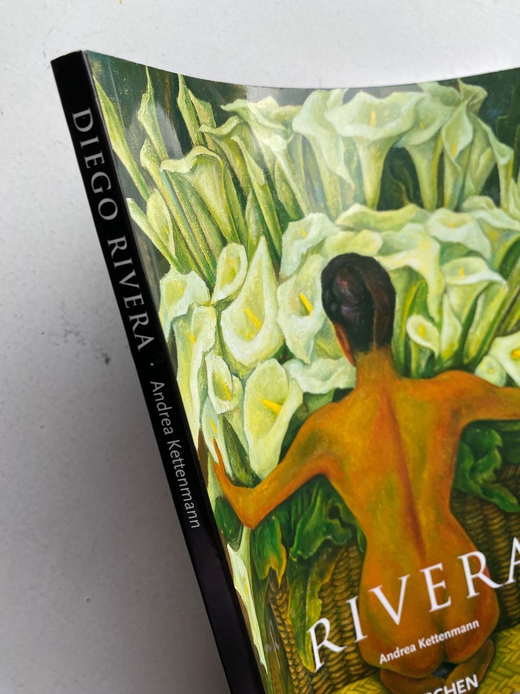 Libri: RIVERA DIEGO - Mexiko  - Frieda Kahlo – Usato da Zürich venduto da lesgarcons 6