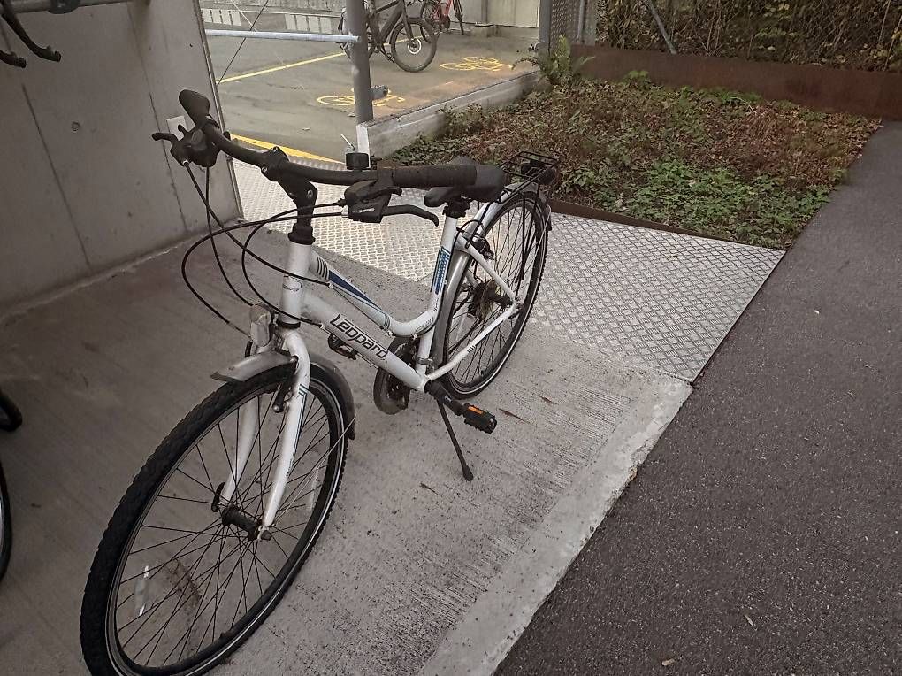 Velos: Leopard Arrow Cat Trekkingbike – Gebraucht aus Bern von lar_rv8r