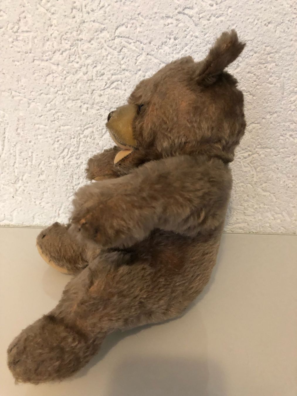 Steiff Giocattoli: Steiff Bär 50er- / 60er-Jahre – Usato da Gümmenen venduto da Ug6 2