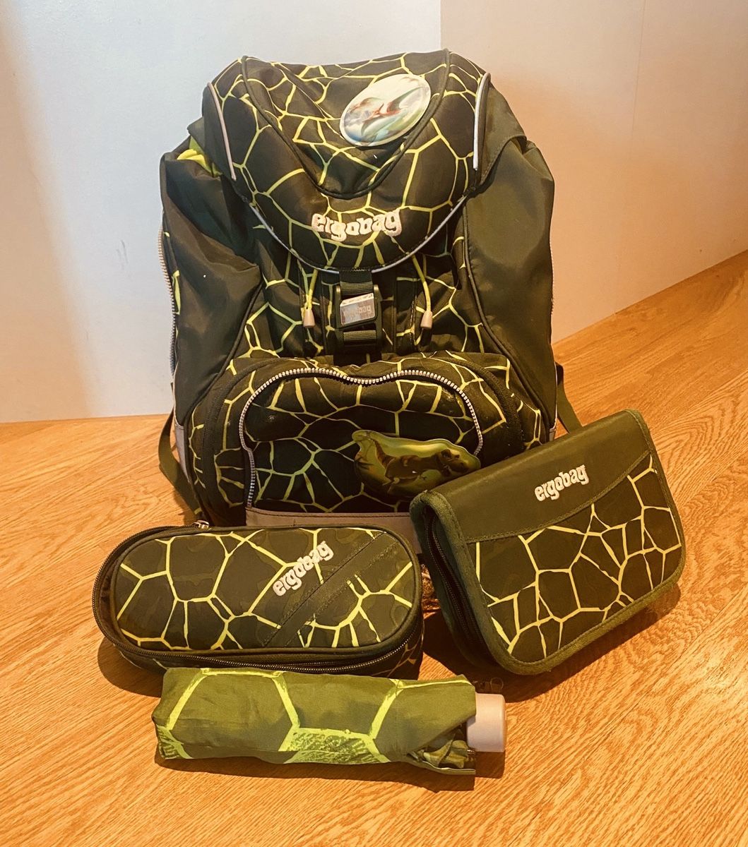 Ergobag Borse & Zaini: ERGOBAG Schulrucksack-  Sehr gut erhalten, komplett! – Usato da Hünenberg venduto da Robe0
