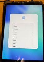 Apple iPad Pro 11" 4. Gen A2761 Display - mit kleinem Defekt