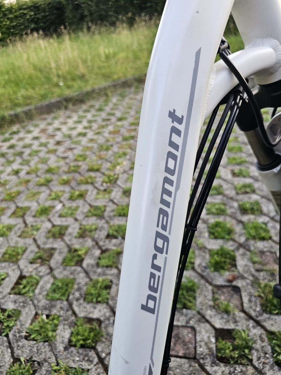 Bergamont Biciclette: Bergamont E-Bike Bosch – Usato da Bern venduto da ser_7vtn 7