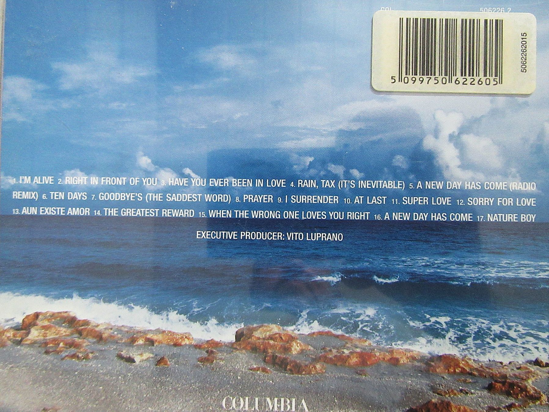 CDs: CD - Celine Dion - A New Day Has Come – Gebraucht aus Auenstein von Padabimbim 2