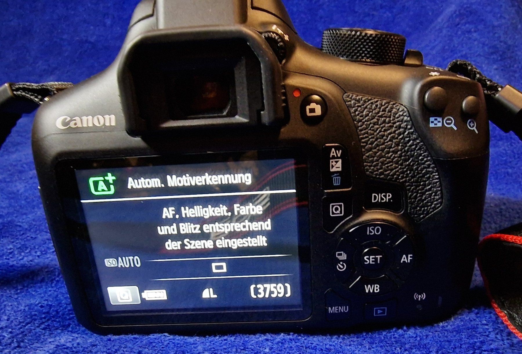 Canon Fotocamera: Canon 1300D – Usato da Eschenz venduto da Ruedis22 1