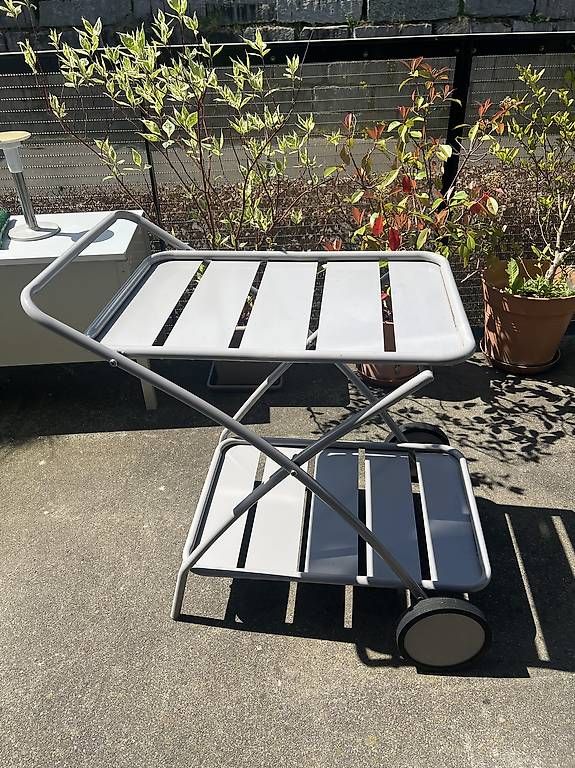 Box contenitori: Gartenwagen – Usato da Zürich venduto da riiq 3