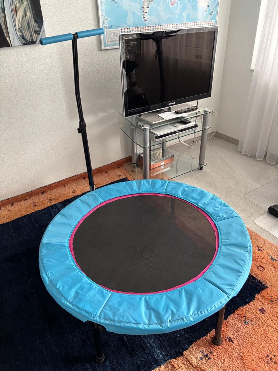 Trampolini: Miami Life Fitness Evolution Trampolin – Usato da Uetikon am See venduto da remo.negri 4