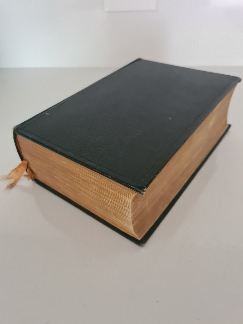 Libri: Alte Bibel 1939 – Usato da Steinen venduto da turbogeiss99