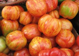 Tomate Tigerella  10g