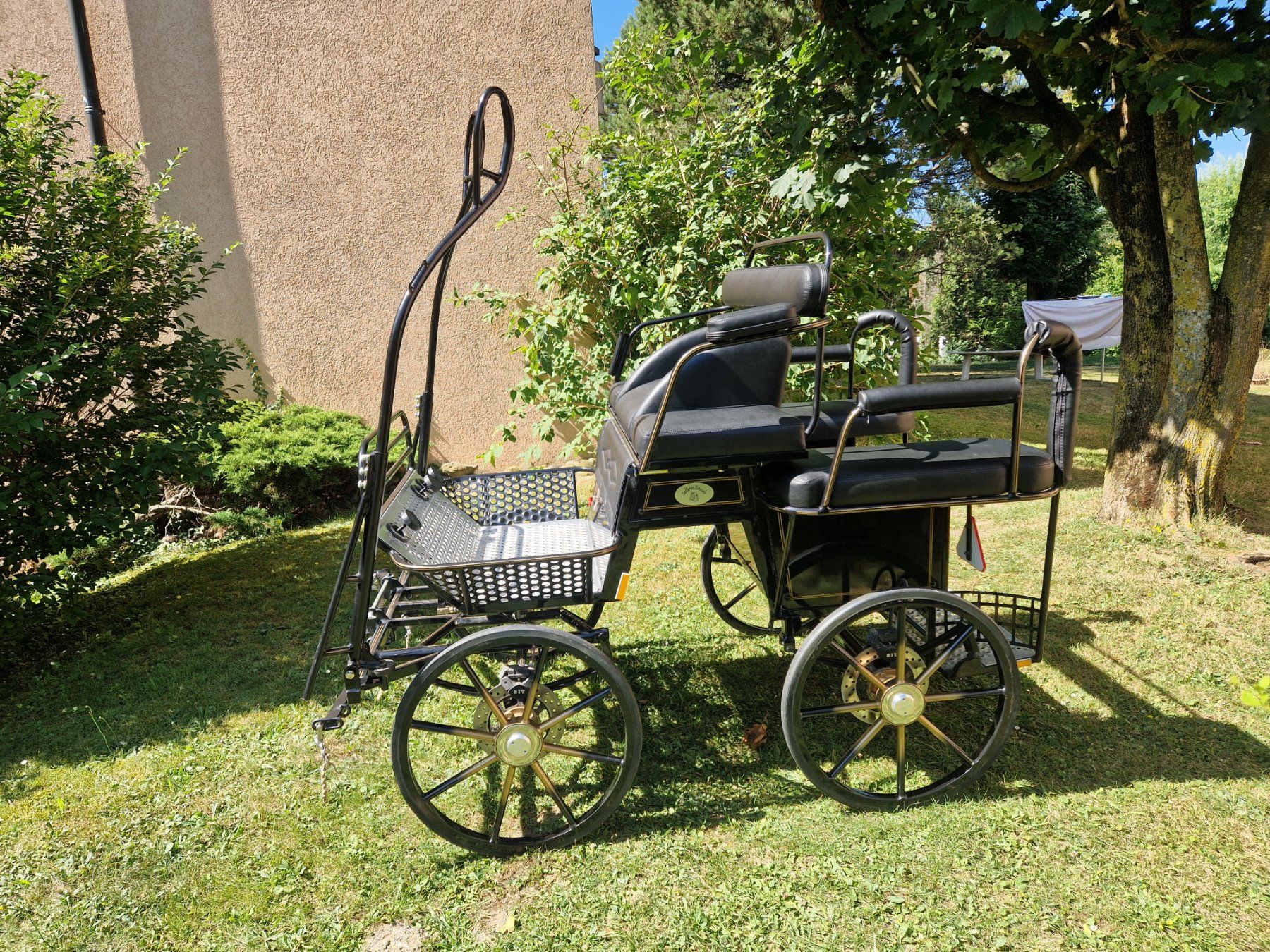 Kutschen: char d'attelage poney shetland – Gebraucht aus Penthaz von Sosotroc 6