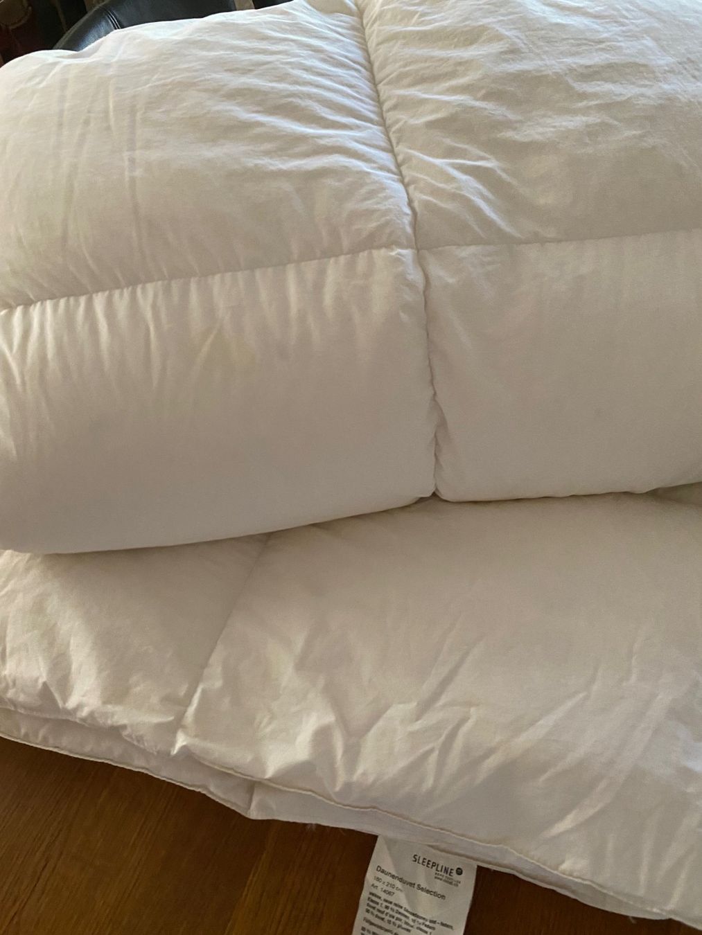 Coperte: Daunenduvet Selection 160 x 210 cm – Usato da Spiez venduto da Tiger801