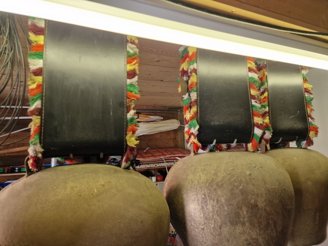 Campanacci mucche: 3  grosse Treicheln Glockenspiel – Usato da Regensdorf venduto da Moweso134 4