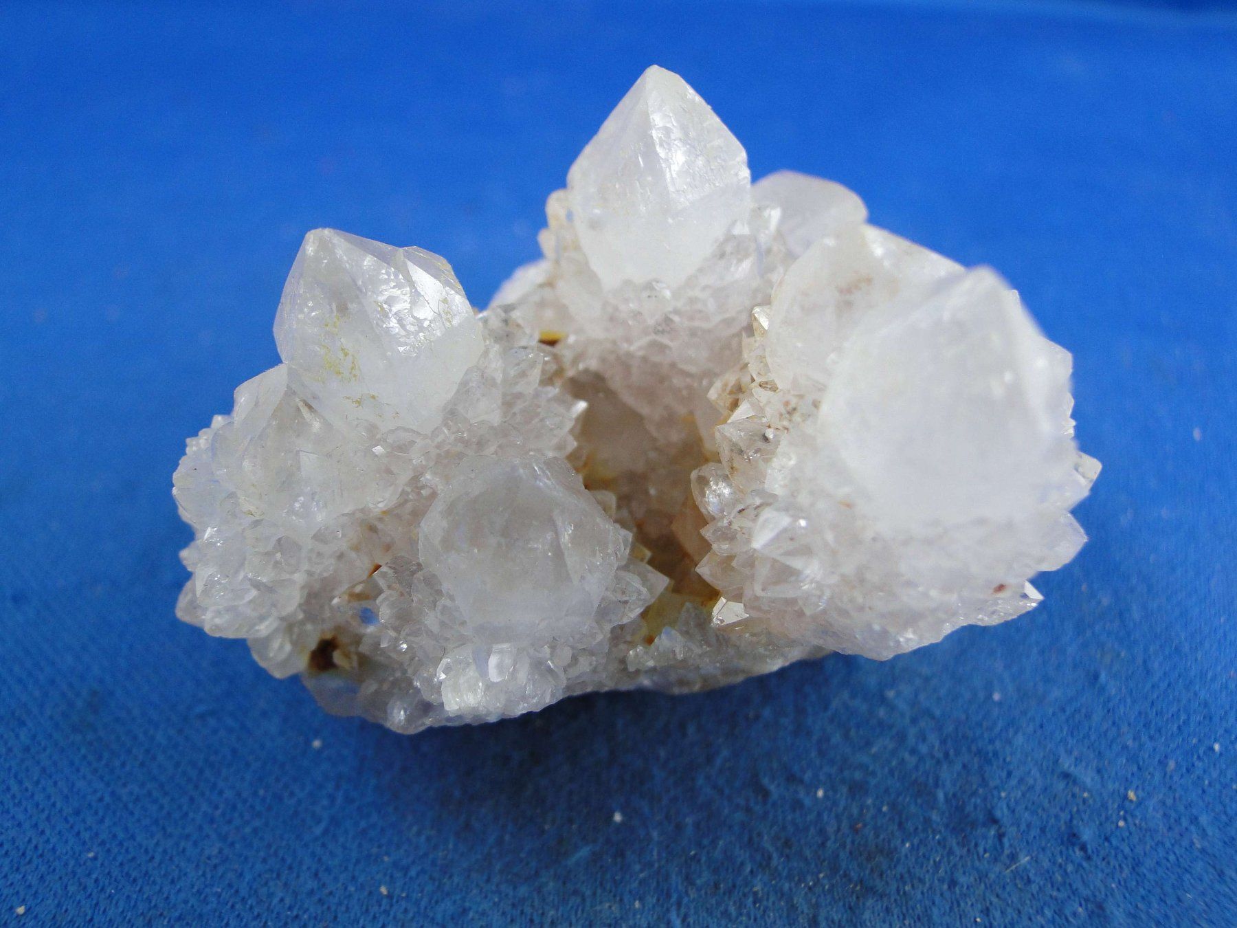 Mineralien & Heilsteine: Quartz var. Amethyst & Kaktus – Neu und originalverpackt aus Schinznach Bad von Demerald 2