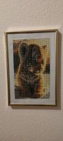 Diamond painting Bild Tigerbaby