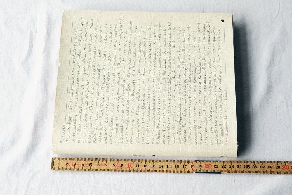 Libri: BJORK - édition Seuil - 2001 - première édition – Usato da Morgins venduto da Laurentcorinne 8