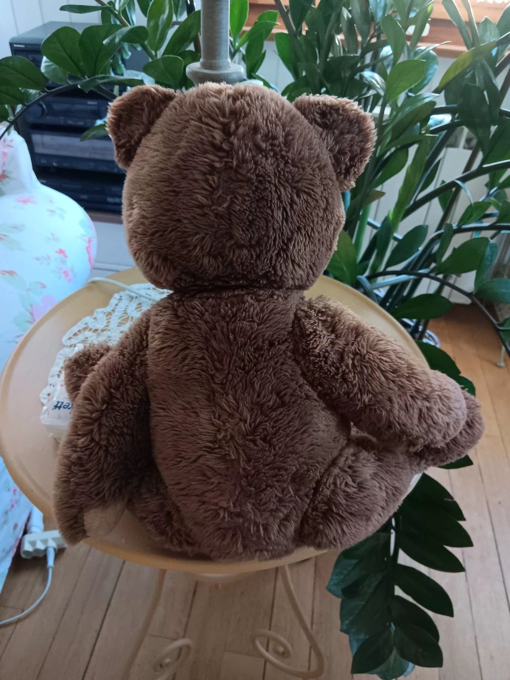 Jouets: alte Bär – D'occasion à Ambrì par Maerz87 2