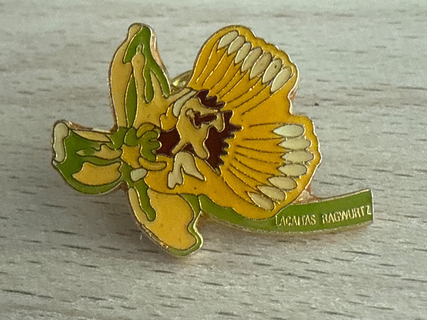 Placchette & Badge: Pin  LACAITAS  RAGWURTZ – Usato da Glattbrugg venduto da Schweigmatt