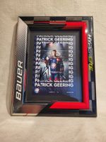 Patrick Geering ZSC Lions 2023/2024