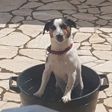 Profile image of MARIAPANDA