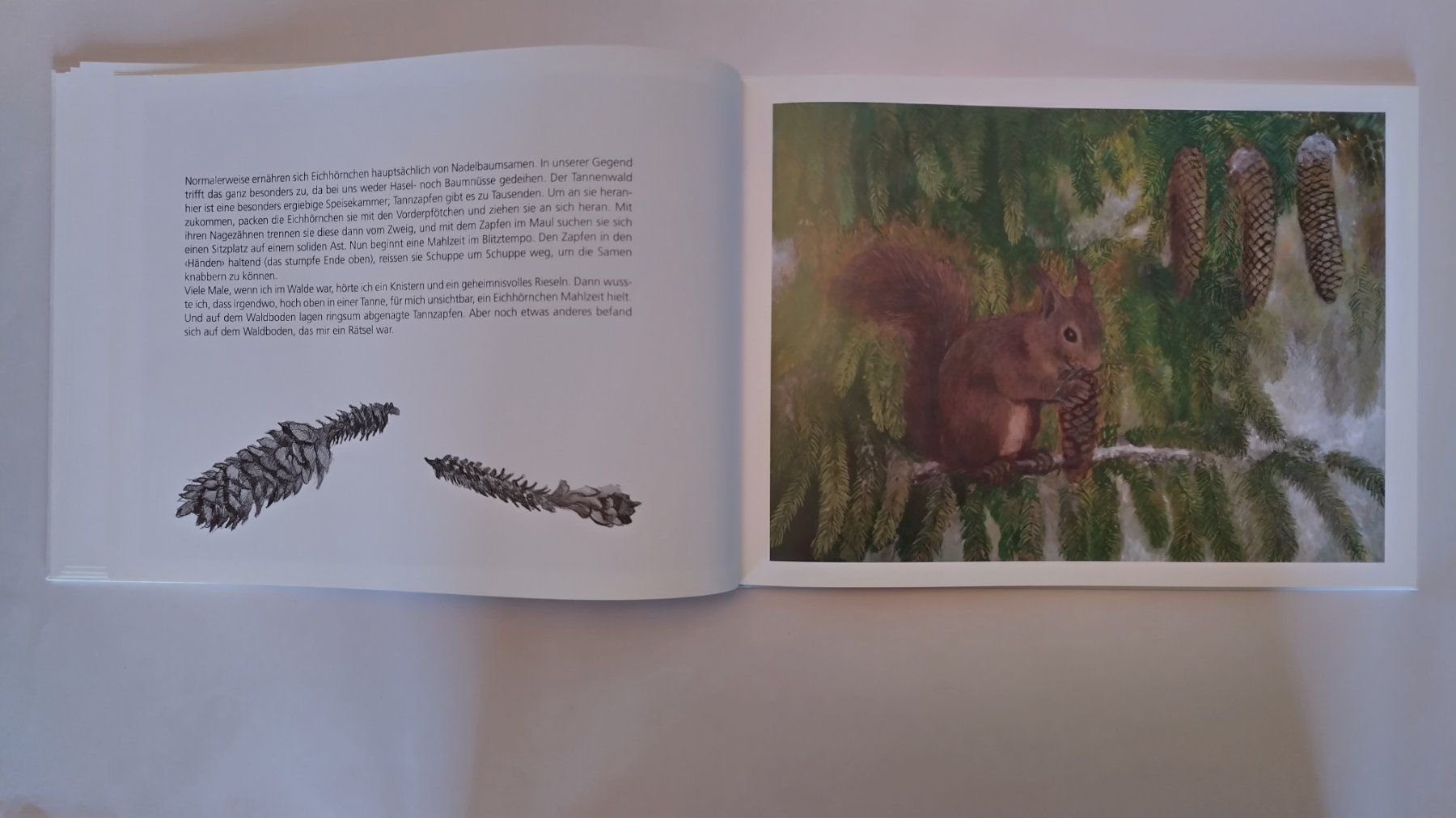 Livres: Peter Bergmann - Eichhörnchen auf Besuch / Bilderbuch – D'occasion à Bellach par JingleJerry 6