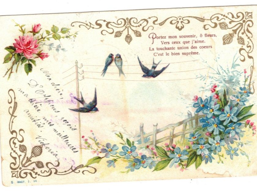 Cartoline postali: Liebeskarten Poststempel 1903 Schwalben Vögel – Usato da Widnau venduto da Seppl480