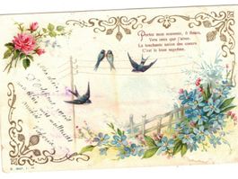 Liebeskarten Poststempel 1903 Schwalben Vögel