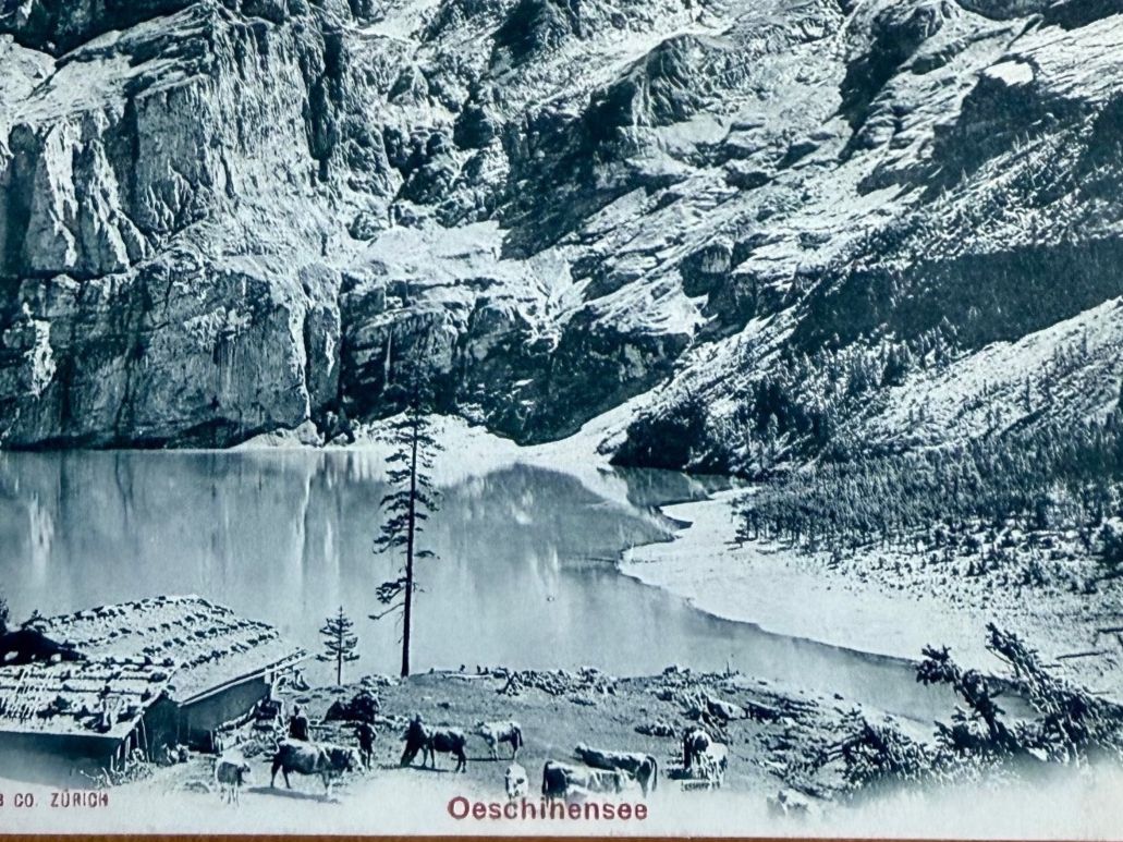 Cartoline postali: Oeschinensee Vers 1900... Kühe . Animée – Usato da Lutry venduto da Ediego 1